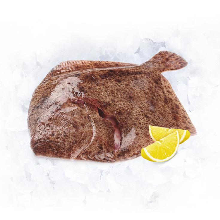 RODABALLO PIEZA 1,75KG APROX, KG 