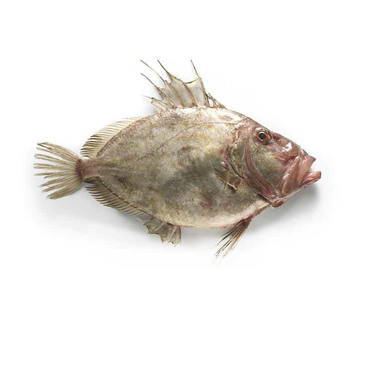 GALLO SAN PEDRO PIEZA 1,1KG APROX, KG PLAZA