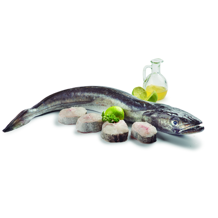 PESCADILLA PINCHO PIEZA 4KG APROX, KG PLAZA