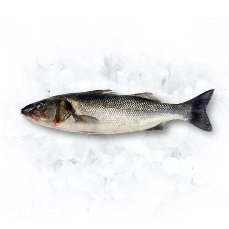LUBINA SALVAJE PIEZA DE 1,1KG APROX, KG PLAZA