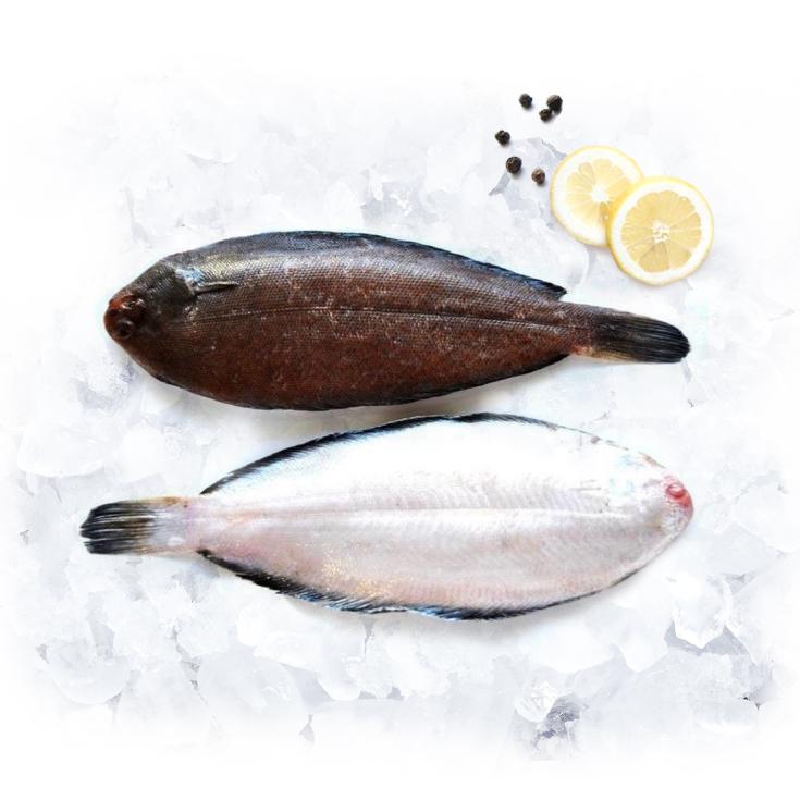 LENGUADO COSTA PIEZA 200G APROX, KG 