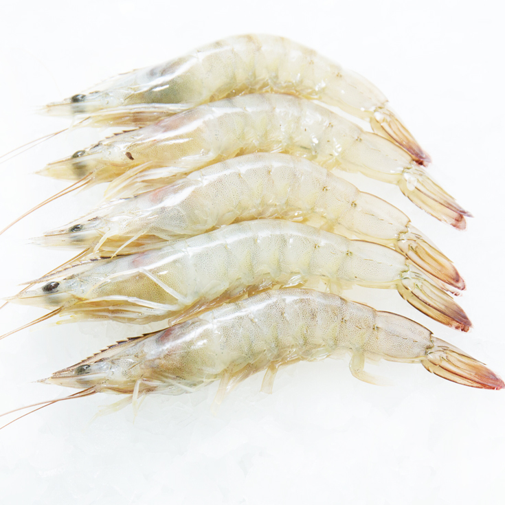 LANGOSTINO NACIONAL 20/30 CONGELADO, KG PLAZA