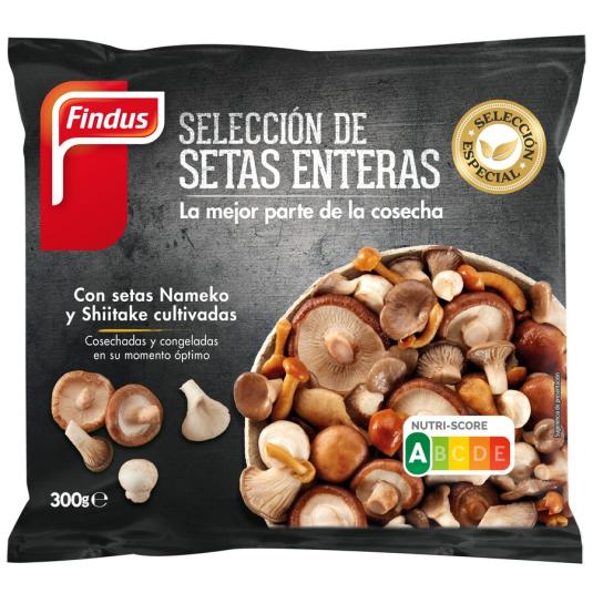 SELECIION SETAS ENTERAS, 300G FINDUS 